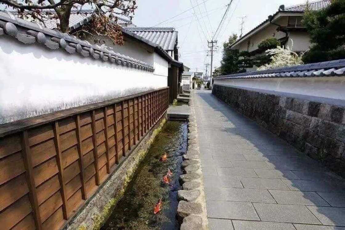 5 Photos of Japanese gutters that proves Japan is far ahead of Ghana 5 Photos of Japanese gutters that proves Japan is far ahead of Ghana