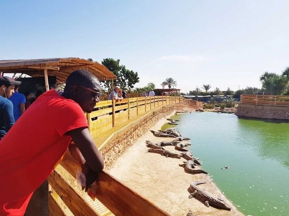 Blogger Ameyaw Debrah lists 6 top travel agencies in Ghana Blogger Ameyaw Debrah lists 6 top travel agencies in Ghana