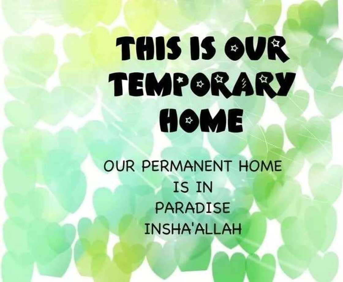 message of condolence, sorry for your loss, condolence quotes message of condolence, sorry for your loss, condolence quotes