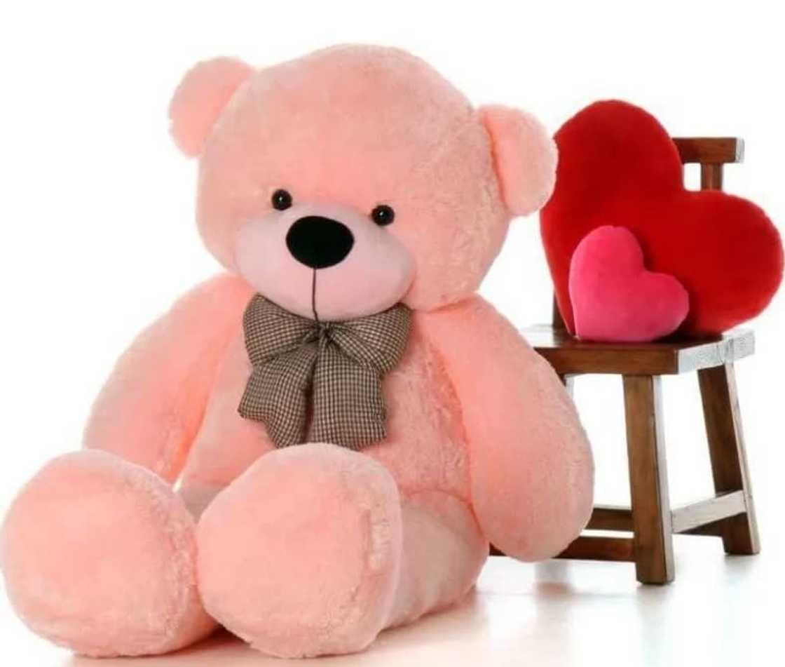 Pet names for girlfriend Pet names for girlfriend