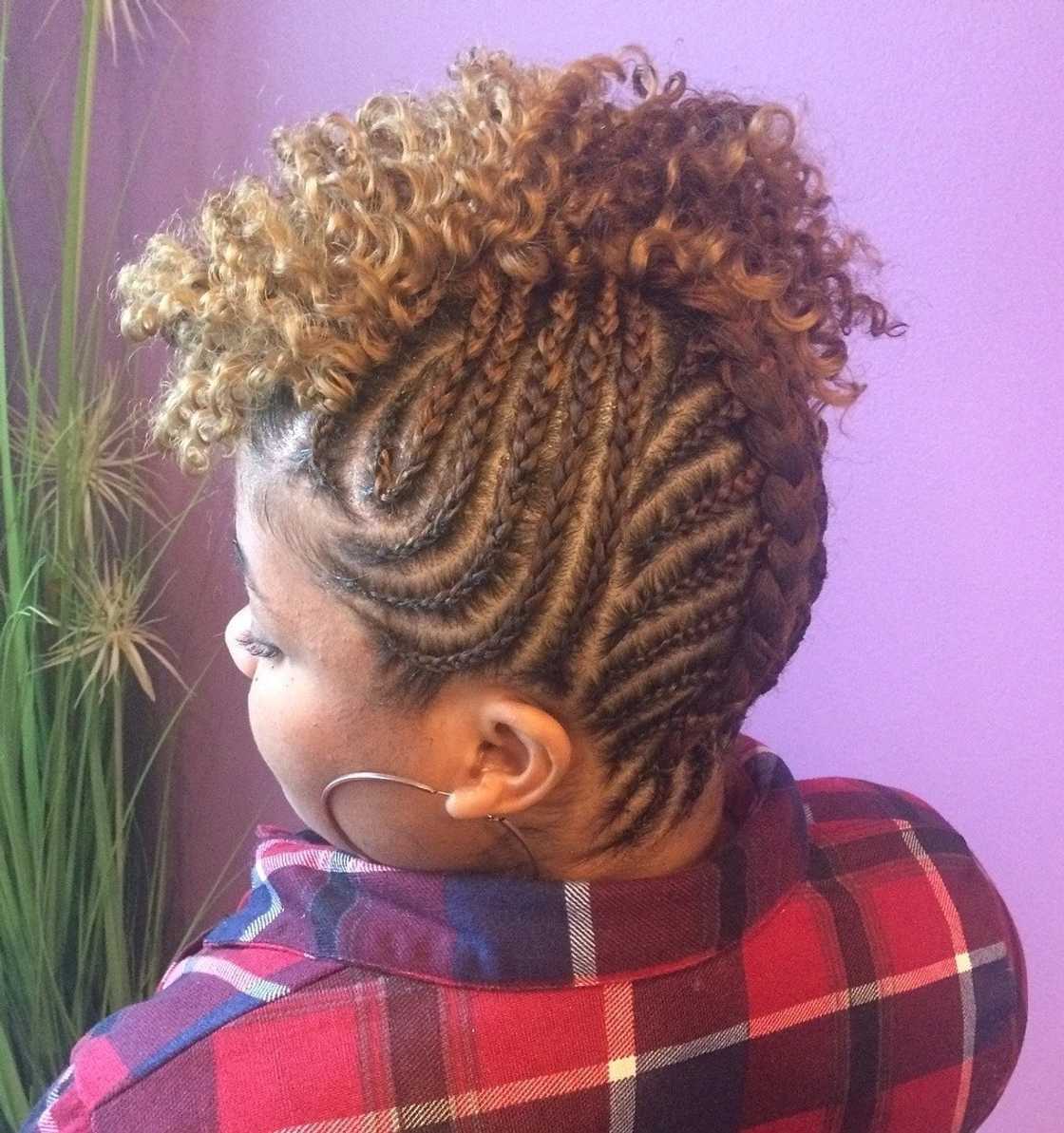 african natural hairstyles
natural hair twist styles for short hair
african hair styles african natural hairstyles
natural hair twist styles for short hair
african hair styles