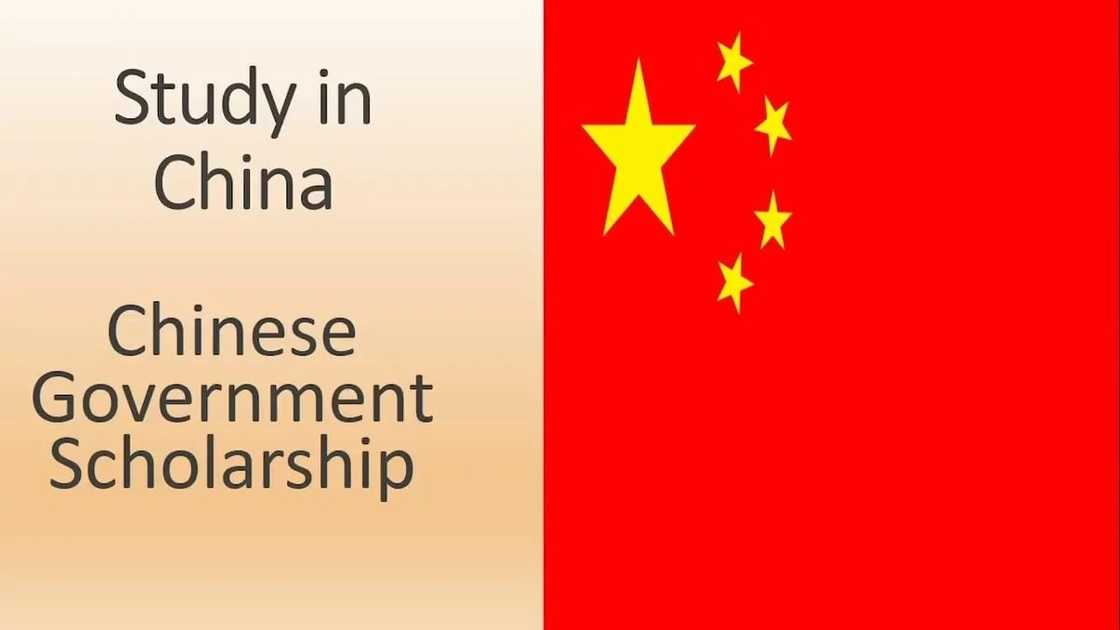 Chinese government scholarship online apply