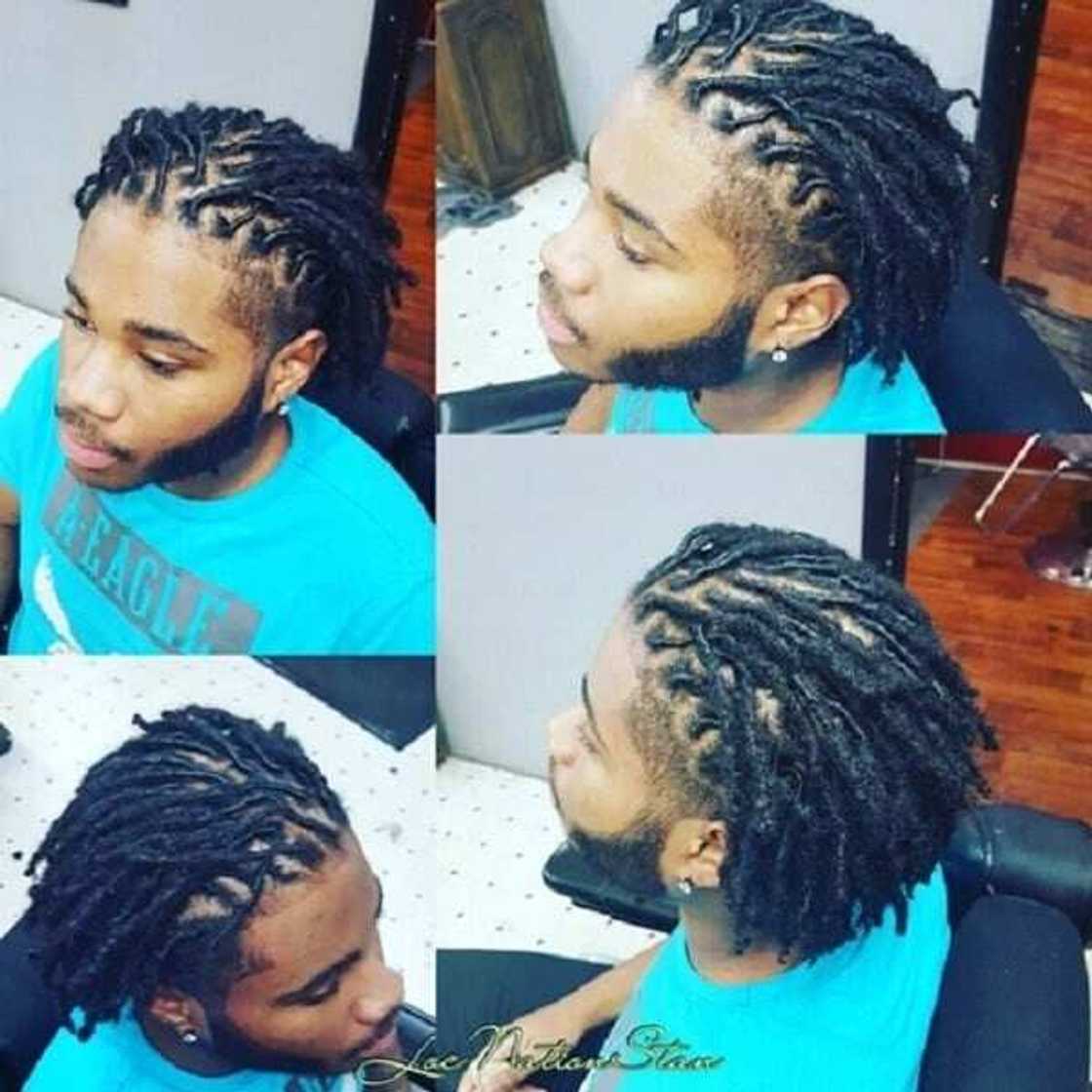 crochet dreadlocks styles
thick dreadlocks styles
artificial dreadlocks styles
dreadlocks styles for guys