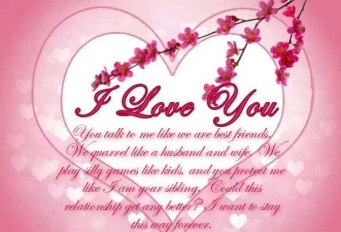 cute love messages for her
romantic messages for her
love text messages for her cute love messages for her
romantic messages for her
love text messages for her