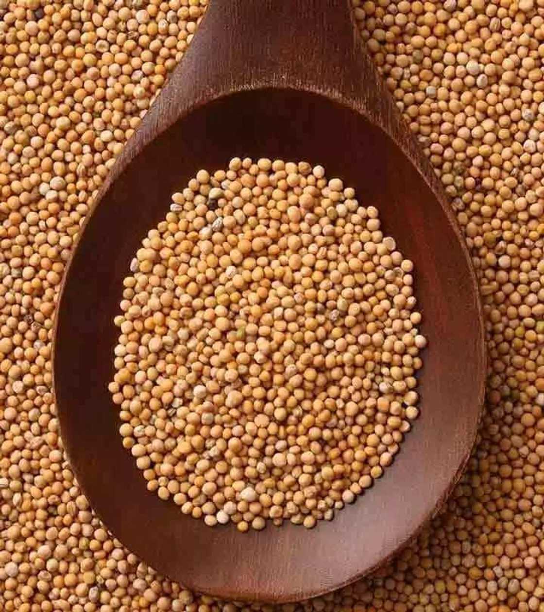 Mustard Seed Benefits and Side Effects Mustard Seed Benefits and Side Effects