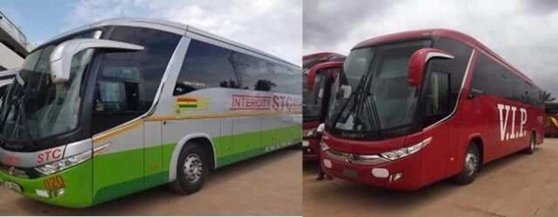 state transport corporation ghana
stc kumasi
intercity stc contact
stc bus contact state transport corporation ghana
stc kumasi
intercity stc contact
stc bus contact