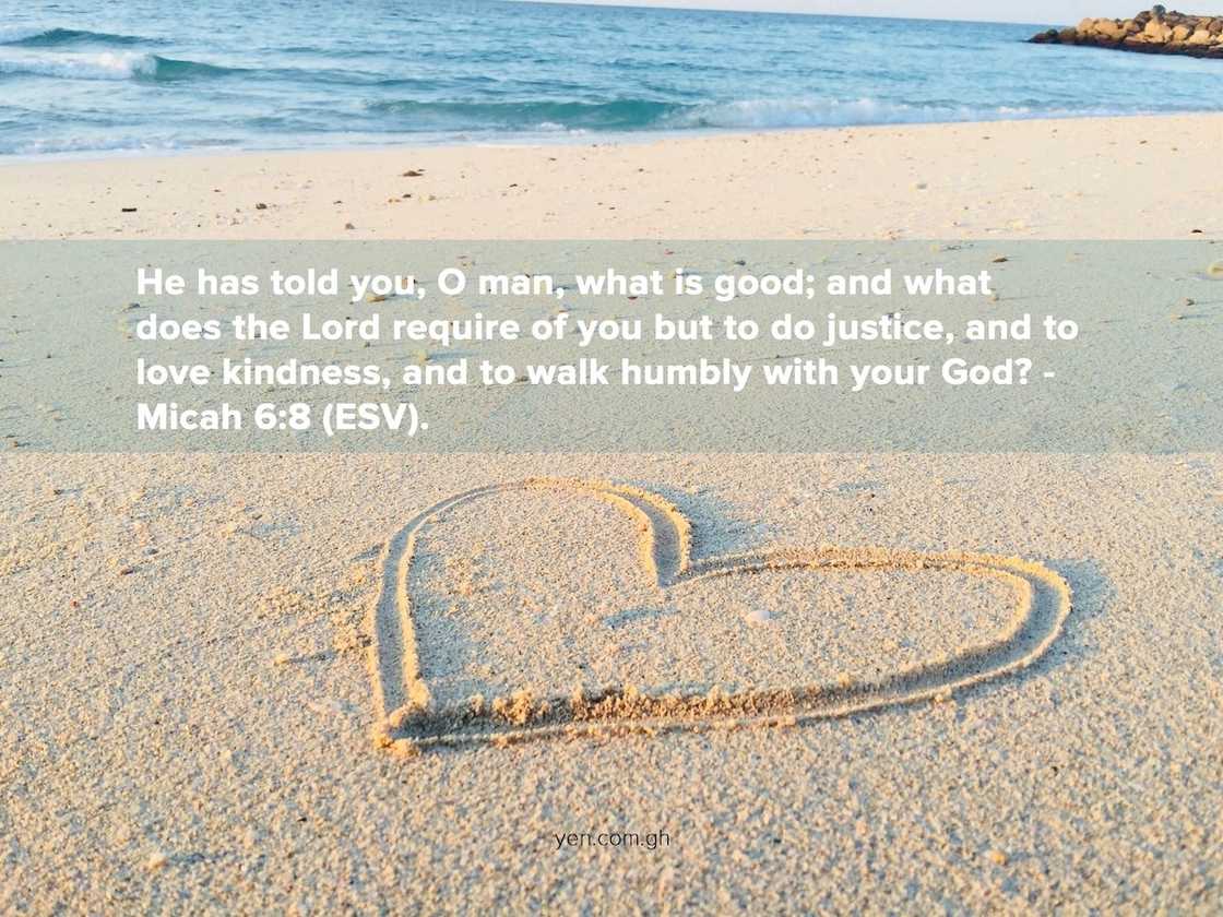 humility in the bible, humble yourself before the lord, humility scriptures humility in the bible, humble yourself before the lord, humility scriptures