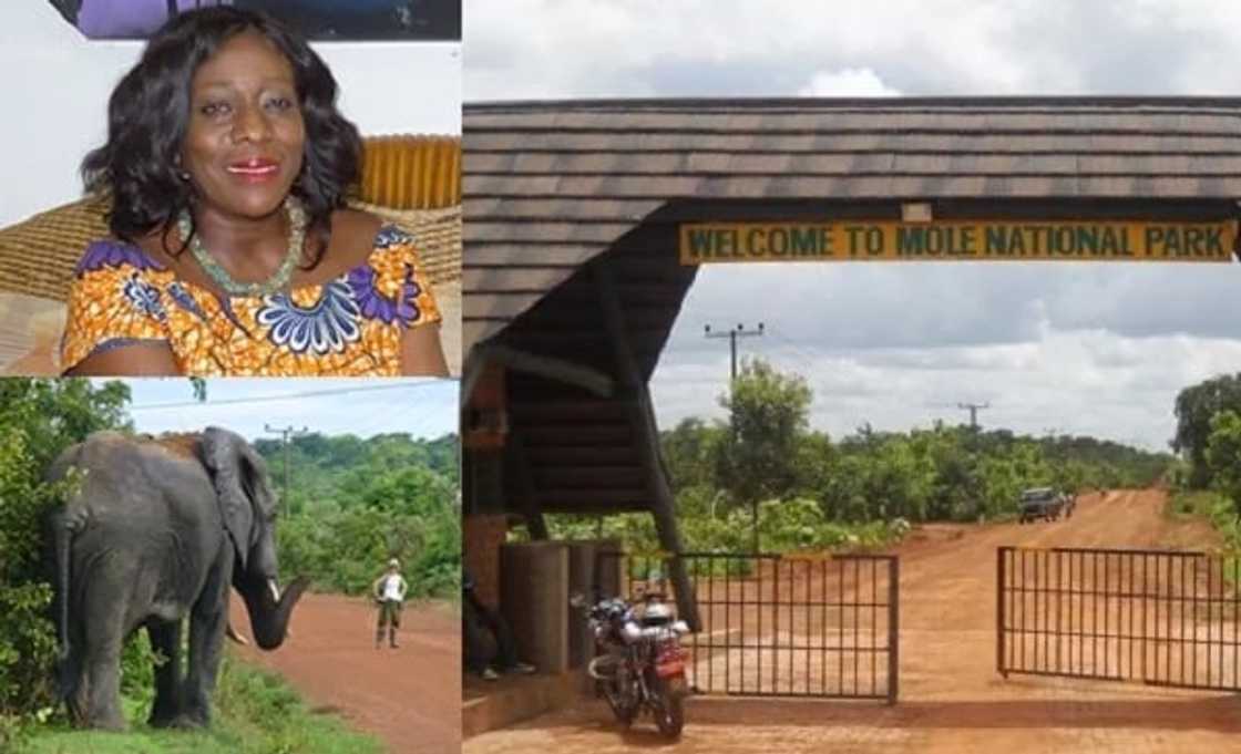 12 most beautiful places in ghana to visit 12 most beautiful places in ghana to visit