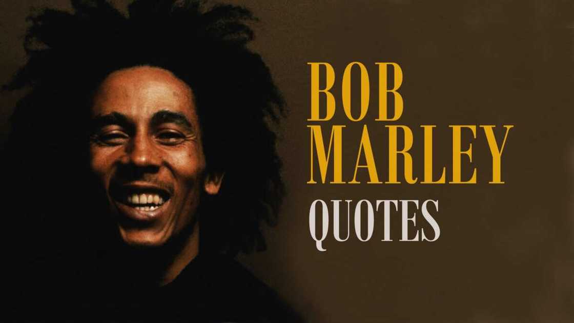 bob marley quotes tumblr
bob marley quotes if she's amazing
bob marley song quotes bob marley quotes tumblr
bob marley quotes if she's amazing
bob marley song quotes