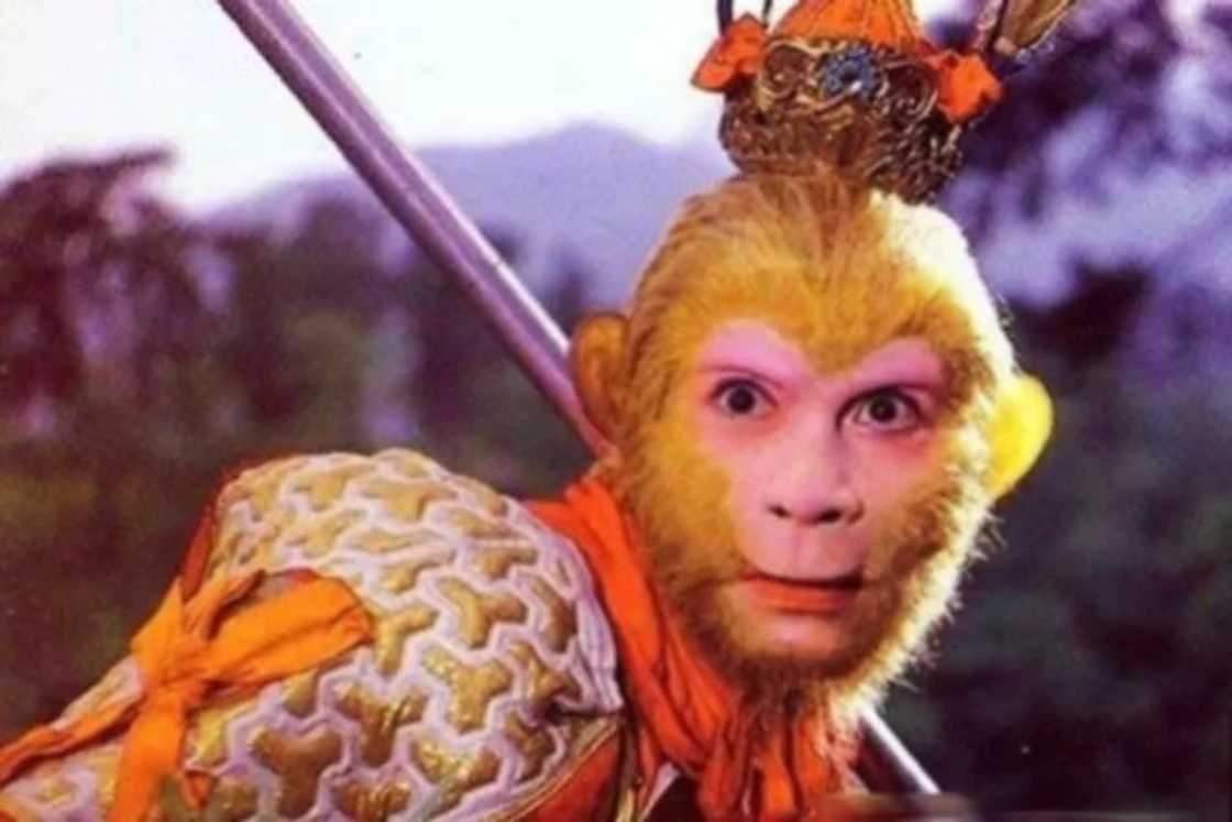 If you were a 90s kids, these were definitely your fav TV shows to watch If you were a 90s kids, these were definitely your fav TV shows to watch