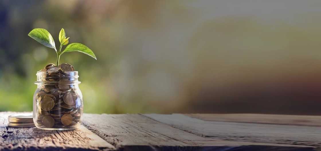 how to save money for the future
reasons to save money
benefits of saving money how to save money for the future
reasons to save money
benefits of saving money