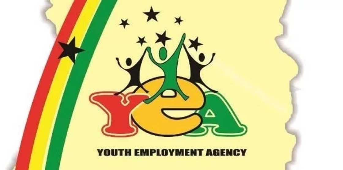 Ghana youth employment registration: Requirements for jobs and internships 2018