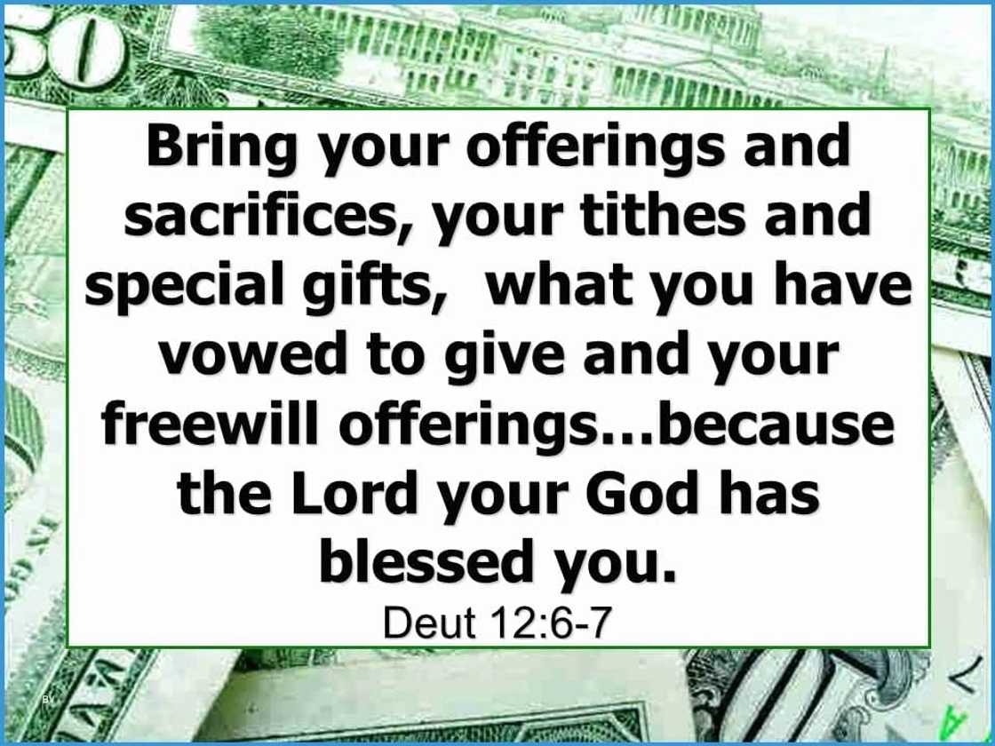 offertory scriptures
offering verses for church
what does the bible say about offerings
offering chapters in the bible offertory scriptures
offering verses for church
what does the bible say about offerings
offering chapters in the bible