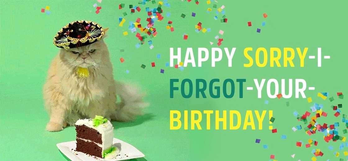 late birthday card
belated birthday images
belated birthday wishes for nephew
sorry i missed your birthday funny late birthday card
belated birthday images
belated birthday wishes for nephew
sorry i missed your birthday funny