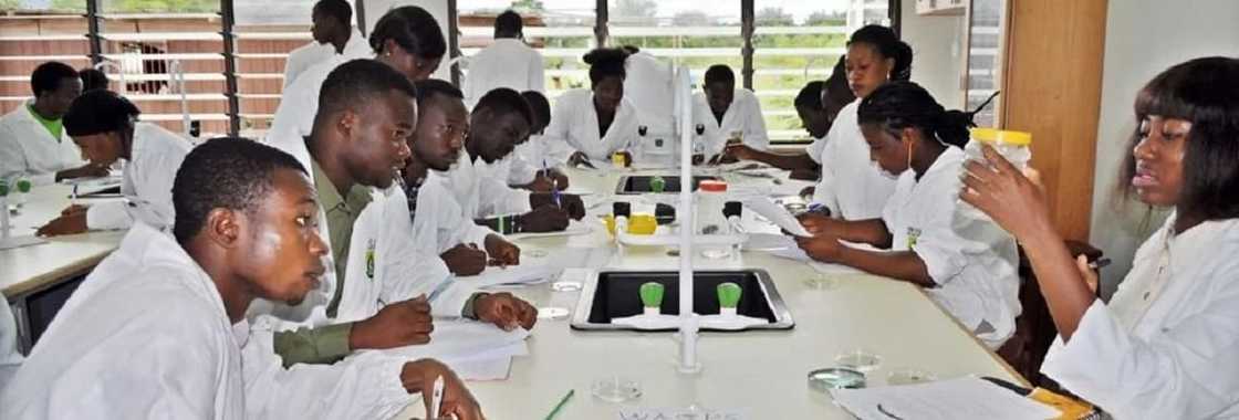 Uhas cut off points and courses 2018-2019 Uhas cut off points and courses 2018-2019