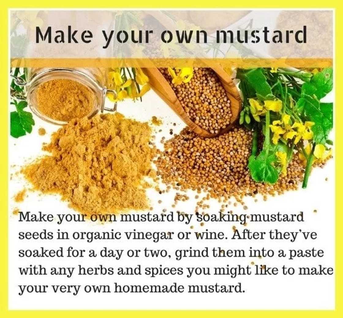 Mustard Seed Benefits and Side Effects Mustard Seed Benefits and Side Effects