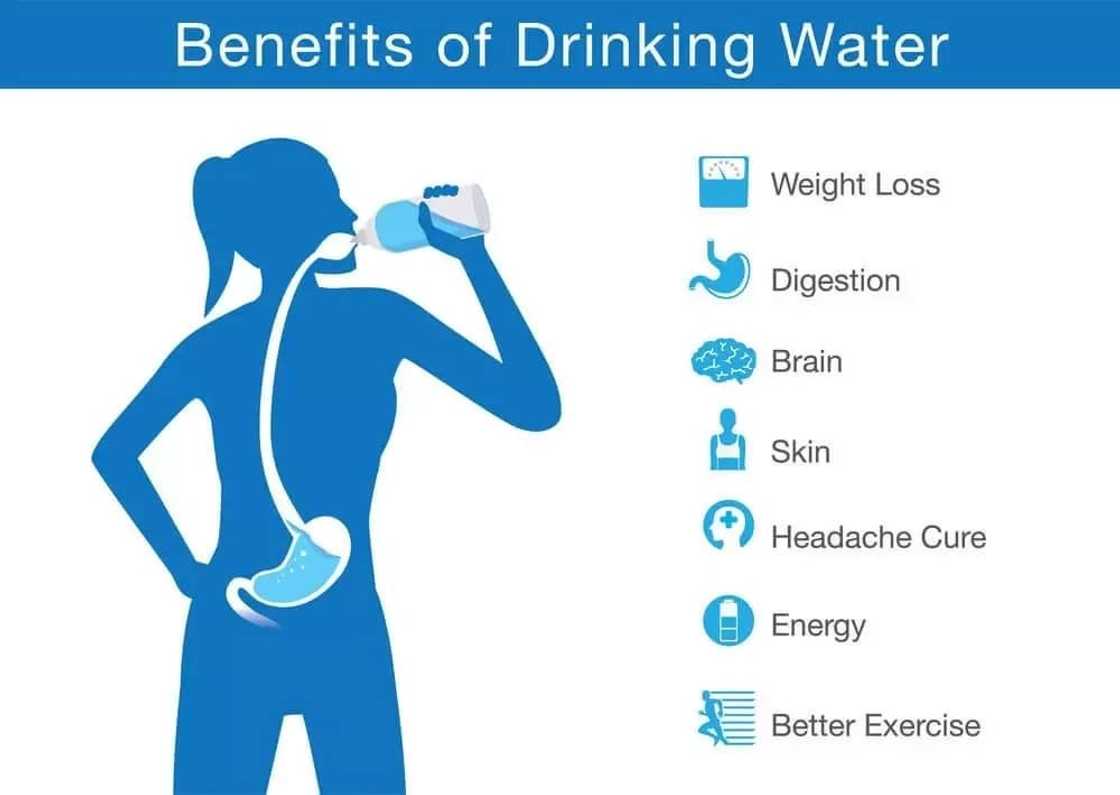 importance of drinking warm water
benefits of water
why do humans need water
does water lubricate joints