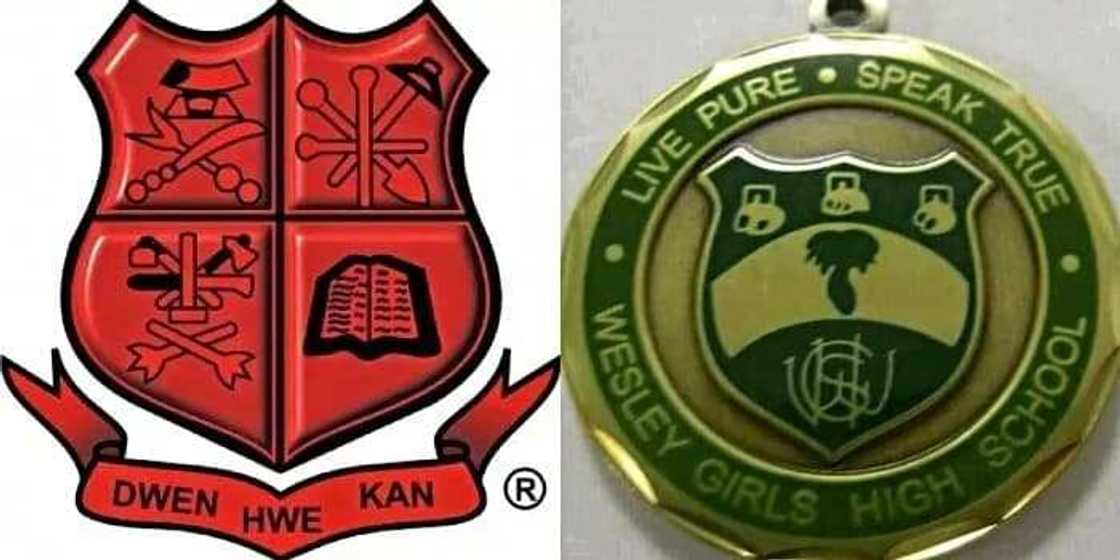 The most popular Senior High School alliances in Ghana