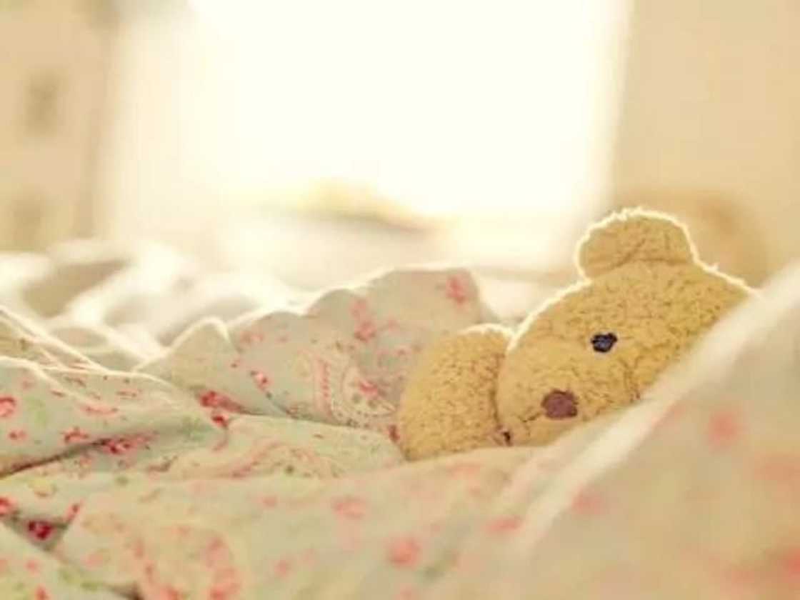 speedy recovery short messages
humorous speedy recovery messages
best wishes speedy recovery messages
speedy recovery messages images speedy recovery short messages
humorous speedy recovery messages
best wishes speedy recovery messages
speedy recovery messages images