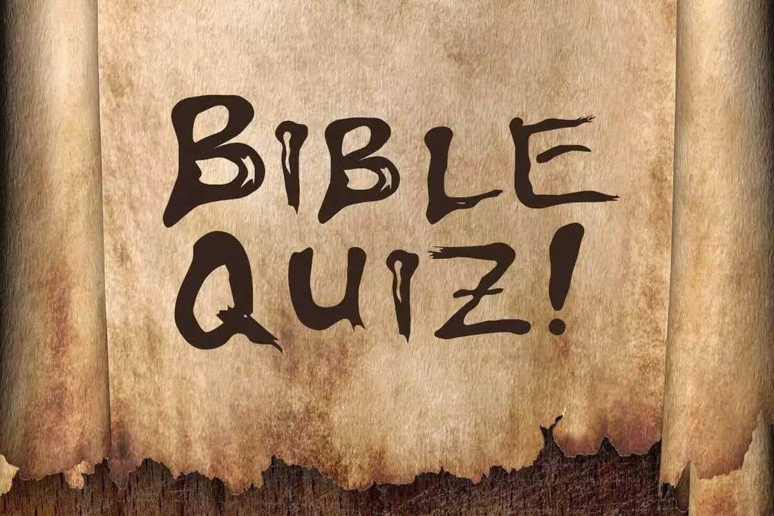 bible quiz questions and answers for youth bible quiz questions and answers for youth