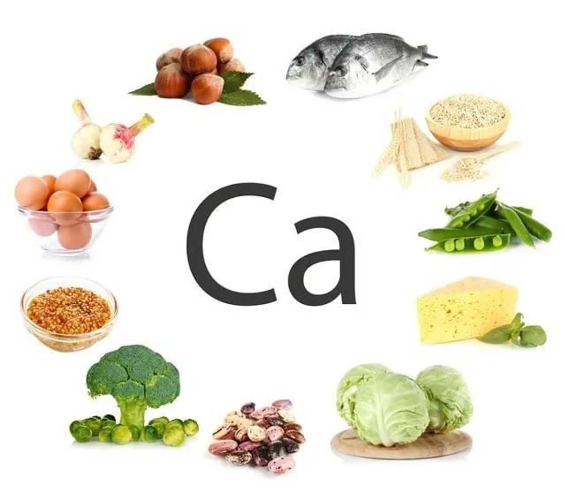 List of best food rich in calcium for healthy bones List of best food rich in calcium for healthy bones