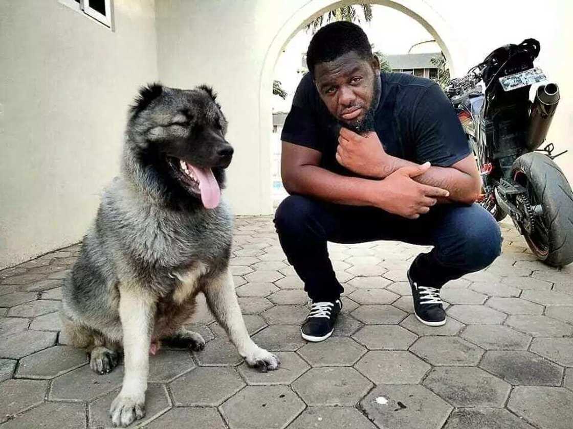 It's natural for men to cheat' - Bulldog confesses cheating on wife It's natural for men to cheat' - Bulldog confesses cheating on wife