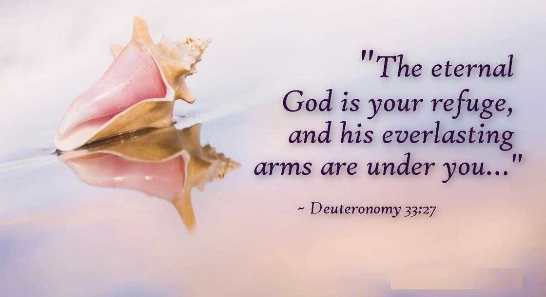 words of remembrance for a loved one, eulogy template for brother, funeral speech examples words of remembrance for a loved one, eulogy template for brother, funeral speech examples