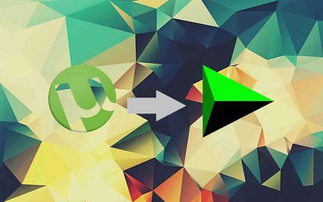 How to download torrent with IDM