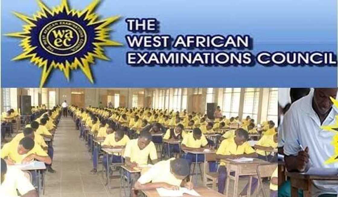 BECE results checker: How to view your WAEC grades online