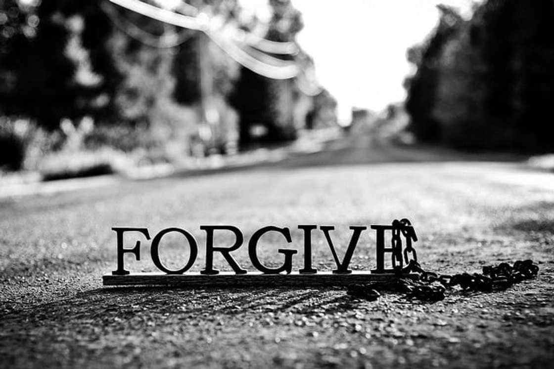 bible verses about forgiveness
forgiveness quotes
what does the bible say about forgiveness
bible verses on forgiving others bible verses about forgiveness
forgiveness quotes
what does the bible say about forgiveness
bible verses on forgiving others