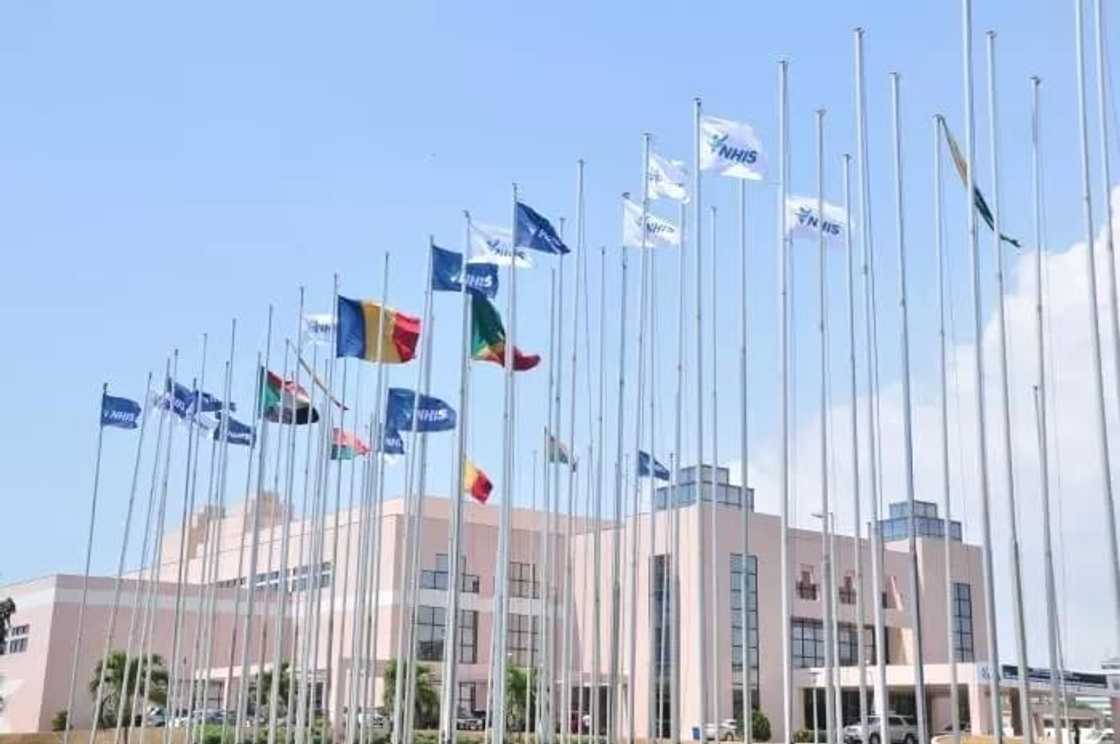 nhis registration offices in accra
nhis district offices in accra
nhis dansoman office accra nhis registration offices in accra
nhis district offices in accra
nhis dansoman office accra