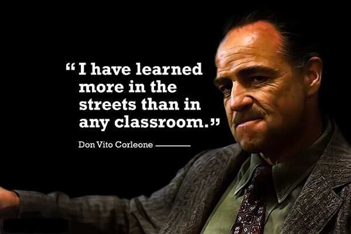 gangster quotes about haters
gangster quotes about respect
real gangsta quotes
best gangsta quotes gangster quotes about haters
gangster quotes about respect
real gangsta quotes
best gangsta quotes