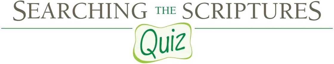 bible quiz bible quiz