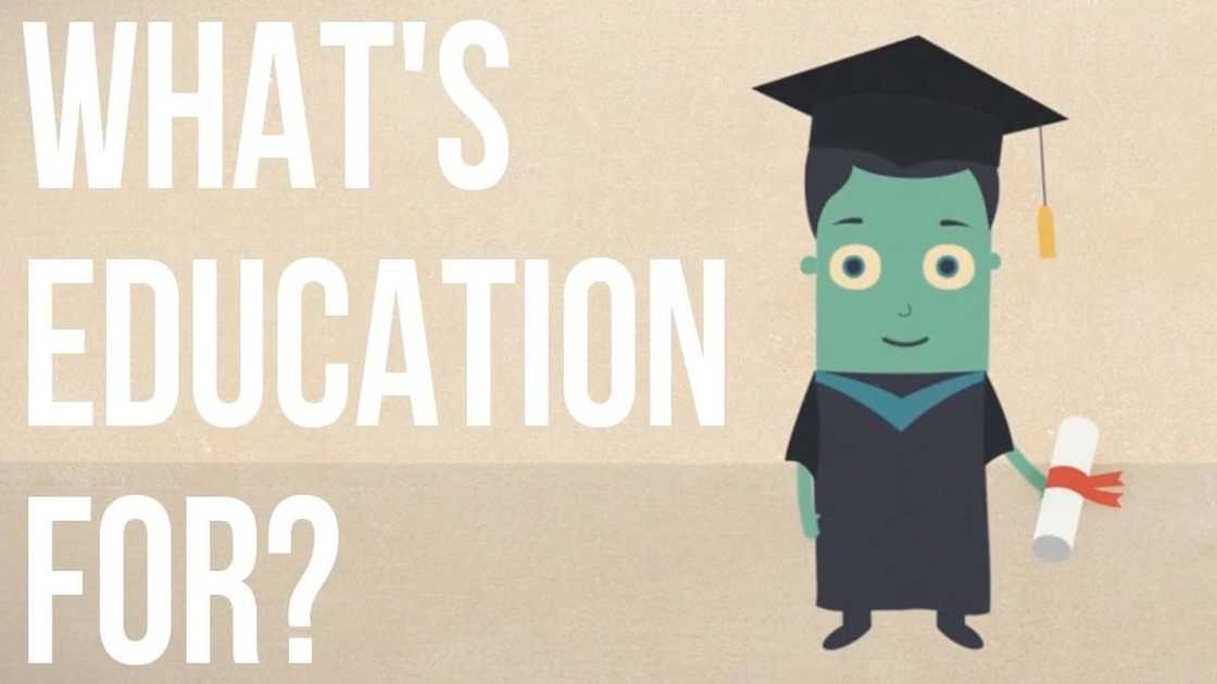 importance of basic education pdf, why is free education important, positive facts about education importance of basic education pdf, why is free education important, positive facts about education