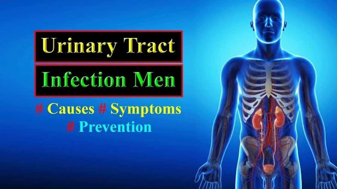 symptoms of uti in men
male uti symptoms
signs of uti in men
what causes uti in men symptoms of uti in men
male uti symptoms
signs of uti in men
what causes uti in men