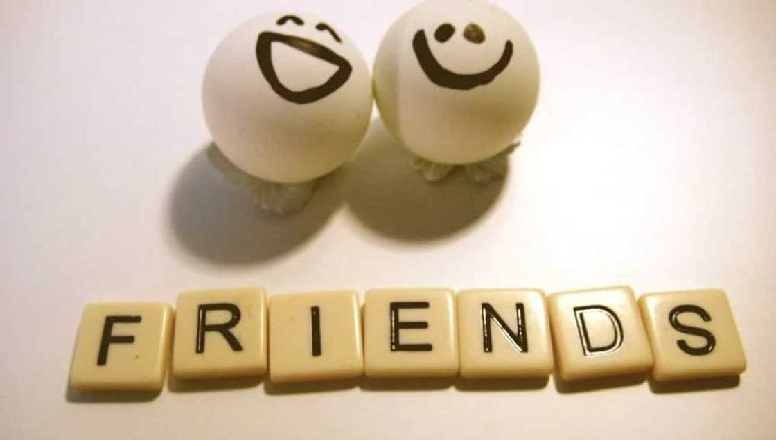 friendly messages
message to a friend
friendship sms friendly messages
message to a friend
friendship sms