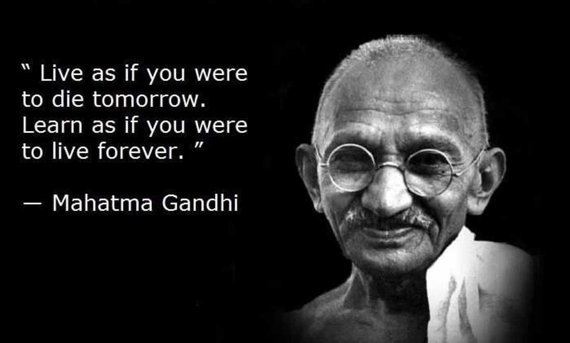 mahatma gandhi quotes
famous gahndi quotes
mahatma gandhi sayings