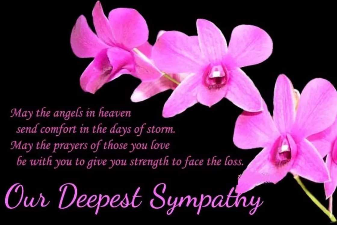 religious condolence messages for loss, condolence messages with images, sample messages condolence uncle's death religious condolence messages for loss, condolence messages with images, sample messages condolence uncle's death