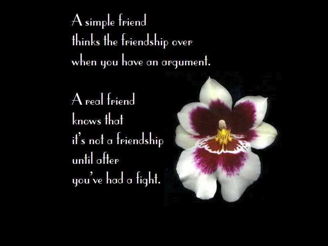 nice quotes images
beautiful quotes for girls
nice quotes on friendship