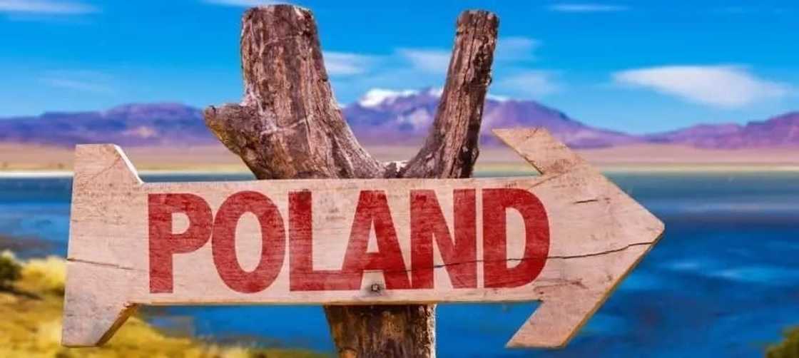 List of cities in Poland
Biggest cities in Poland
Major cities in Poland
Largest polish cities