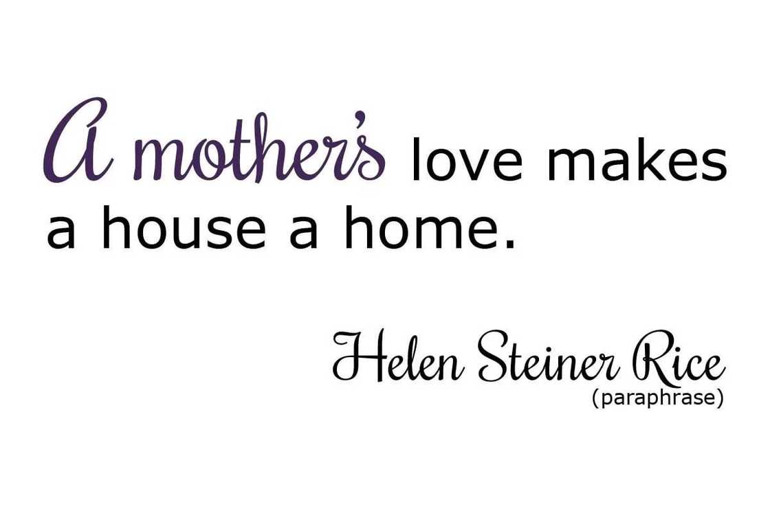 why i love you image quotes
positive love quotes image
serious love image quotes why i love you image quotes
positive love quotes image
serious love image quotes