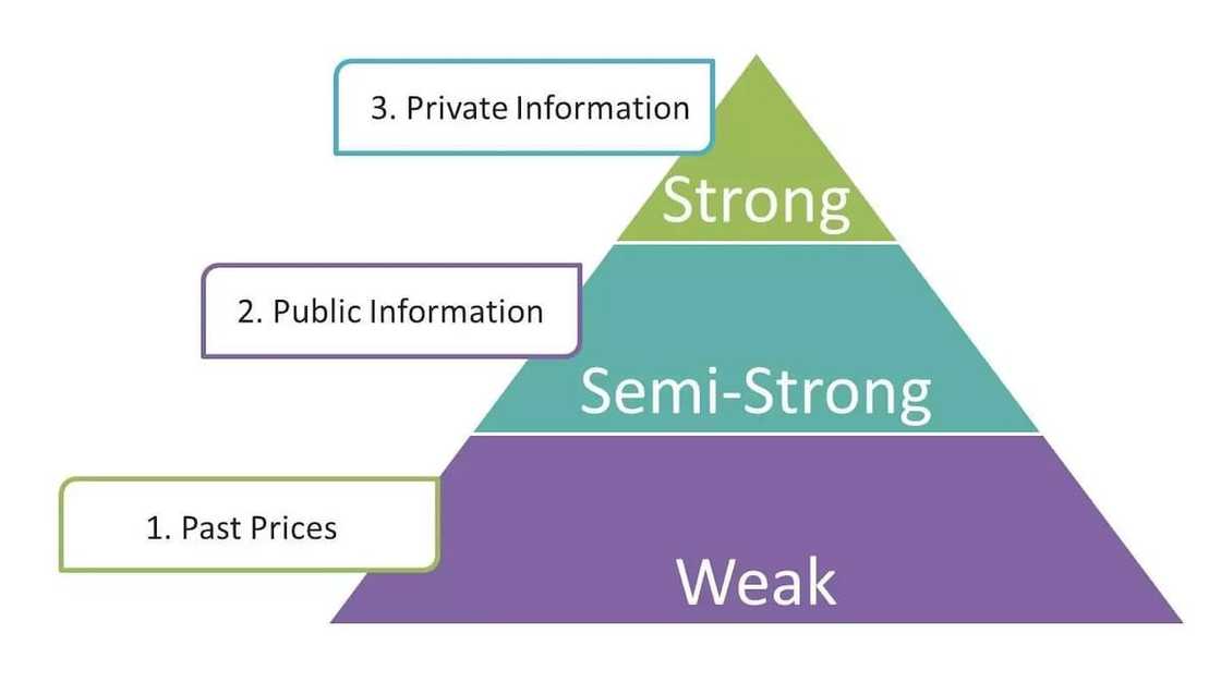 According to the efficient market hypothesis
What is efficient market hypothesis?
Stock market efficiency
Efficient markets theory definition