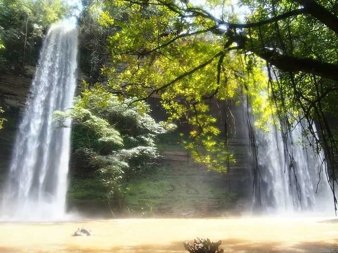 List of waterfalls in Ghana and their locations
Pictures of waterfalls in Ghana
Boti falls
Boti falls ghana