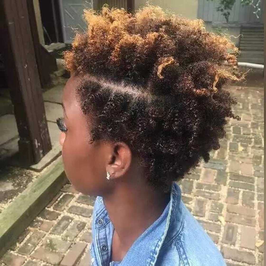 natural hair styles images
hairstyles for natural hair natural hair styles images
hairstyles for natural hair