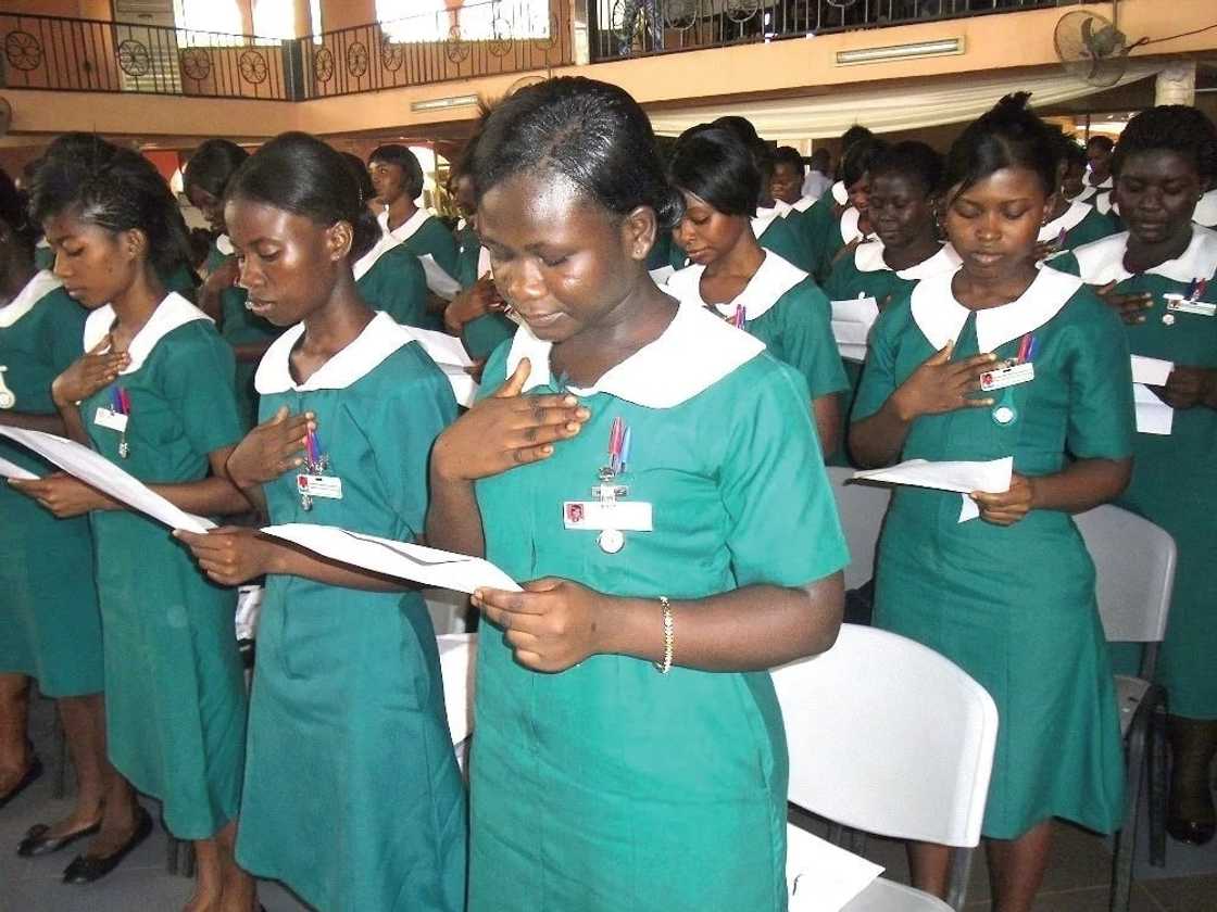 korle bu nursing training admission forms
korle bu nursing training college forms
korle bu nursing training forms 2018