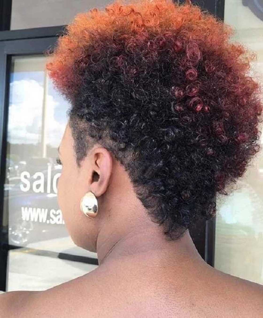 african natural hairstyles
natural hair twist styles for short hair
african hair styles african natural hairstyles
natural hair twist styles for short hair
african hair styles