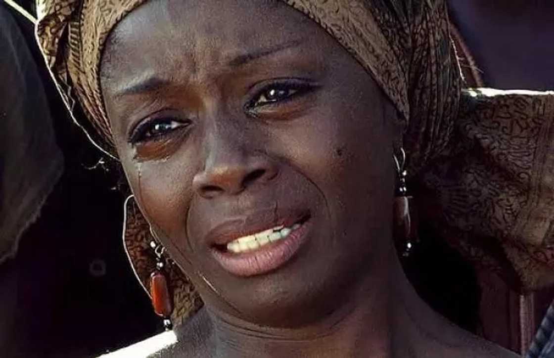 5 Hollywood stars who are Ghanaian 5 Hollywood stars who are Ghanaian