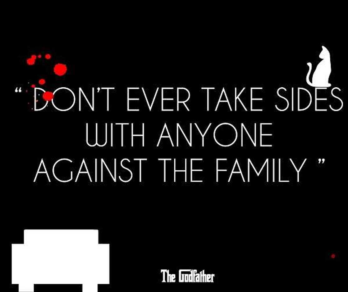 gangster quotes about haters
gangster quotes about respect
real gangsta quotes
best gangsta quotes gangster quotes about haters
gangster quotes about respect
real gangsta quotes
best gangsta quotes