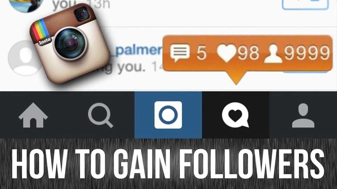 How to get free followers on Instagram free and fast in 2019