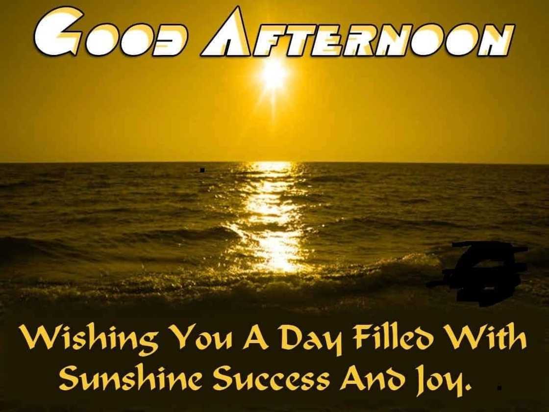 good afternoon quotes
have a wonderful afternoon
have a good afternoon quotes
romantic good afternoon messages good afternoon quotes
have a wonderful afternoon
have a good afternoon quotes
romantic good afternoon messages
